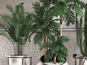 decorative plants in flower pots for the interior 470 3D Модель