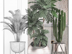decorative plants in flower pots for the interior 470 3D Модель