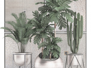 decorative plants in flower pots for the interior 470 3D Модель