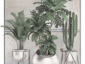 decorative plants in flower pots for the interior 470 3D Model