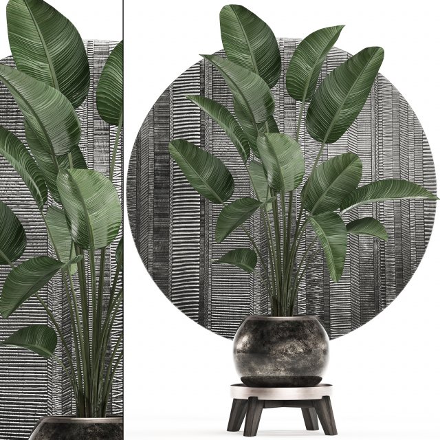 decorative plants in flower pots for the interior 471 3D Model .c4d .max .obj .3ds .fbx .stl .blend 