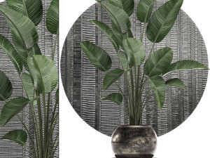 decorative plants in flower pots for the interior 471 3D Model