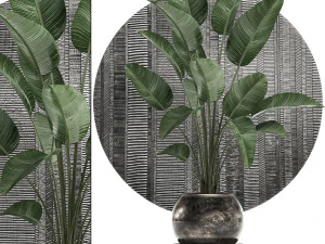decoratieve planten in bloempotten voor interieur 471 3D Model