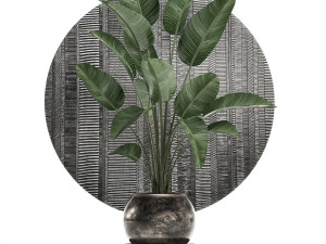 decorative plants in flower pots for the interior 471 3D Model