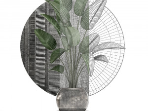 decorative plants in flower pots for the interior 471 3D Model