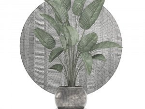 decorative plants in flower pots for the interior 471 3D Model