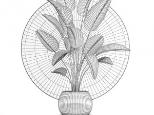 decorative plants in flower pots for the interior 471 3D Model