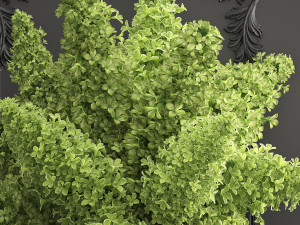 bouquet of green lilacs in a vase 94 3Dモデル