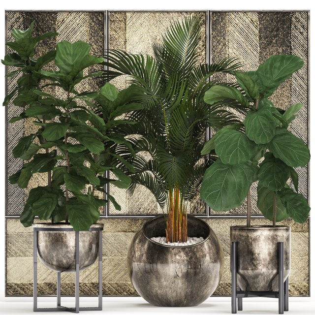 decorative plants in flower pots for the interior 472 Model 3D .c4d .max .obj .3ds .fbx .stl .blend 