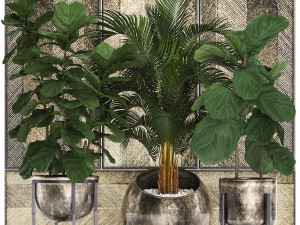 decorative plants in flower pots for the interior 472 3D Model