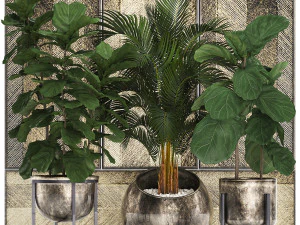 decoratieve planten in bloempotten voor interieur 472 3D Model