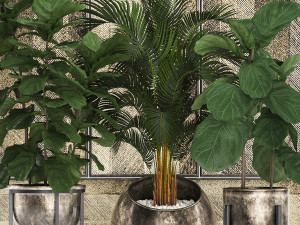 decorative plants in flower pots for the interior 472 Model 3D
