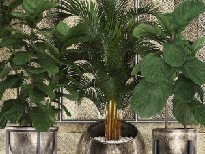 decorative plants in flower pots for the interior 472 3D Model