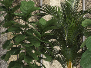 decorative plants in flower pots for the interior 472 3D Model