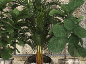 decorative plants in flower pots for the interior 472 Model 3D