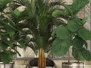 decorative plants in flower pots for the interior 472 3D Model