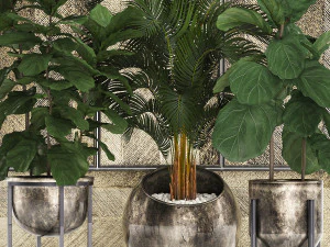 decorative plants in flower pots for the interior 472 3D Model