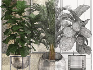 decorative plants in flower pots for the interior 472 Model 3D