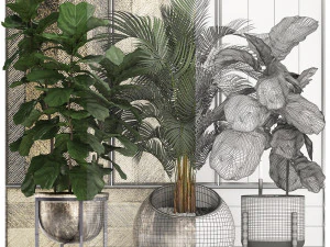 decorative plants in flower pots for the interior 472 3D Model