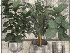 decorative plants in flower pots for the interior 472 Model 3D