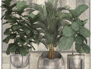 decorative plants in flower pots for the interior 472 3D Model