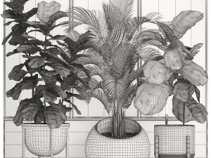 decorative plants in flower pots for the interior 472 Model 3D