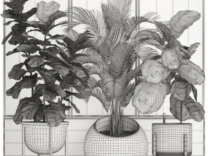 decorative plants in flower pots for the interior 472 3D Model