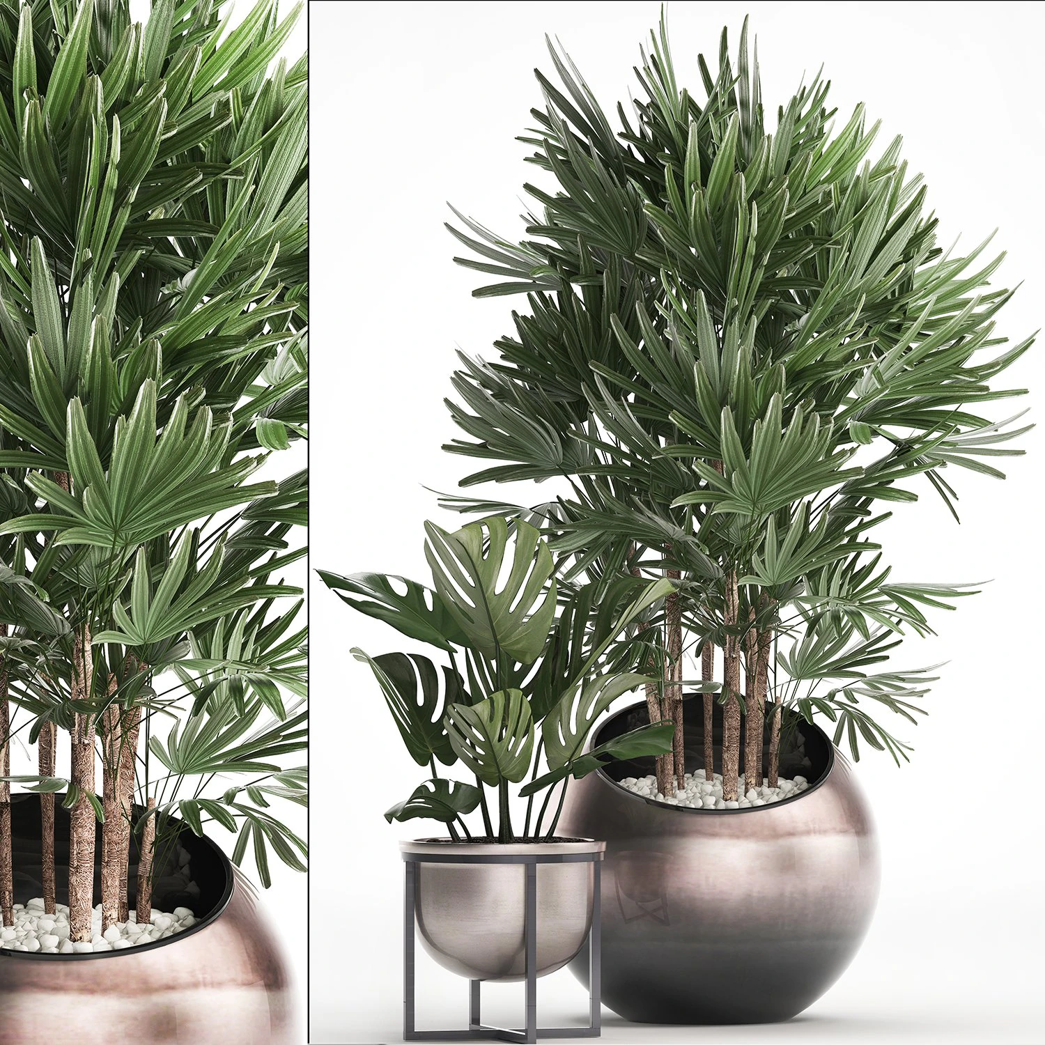 decorative plants in flower pots for the interior 350 3D Model .c4d .max .obj .3ds .fbx .stl .blend 