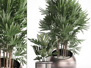 decorative plants in flower pots for the interior 350 3D 모델