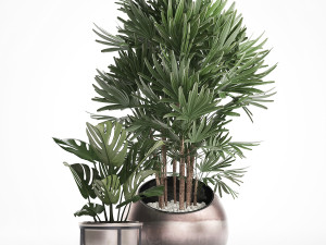 decorative plants in flower pots for the interior 350 3D Model