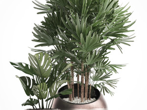decorative plants in flower pots for the interior 350 3D Model