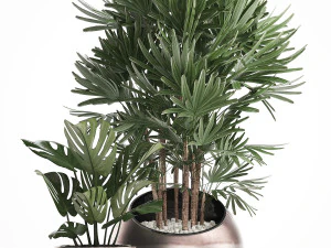 decorative plants in flower pots for the interior 350 3D Model