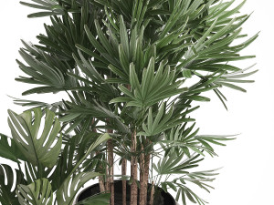 decorative plants in flower pots for the interior 350 3D Model