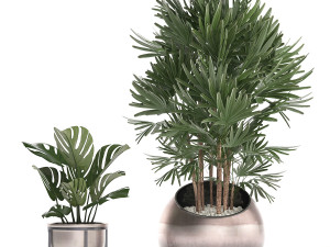 decorative plants in flower pots for the interior 350 3D Model