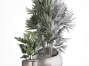 decorative plants in flower pots for the interior 350 3D Model
