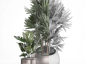 decorative plants in flower pots for the interior 350 3D Model