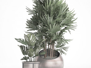 decorative plants in flower pots for the interior 350 3D Model