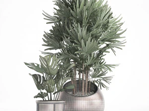 decorative plants in flower pots for the interior 350 3D Model