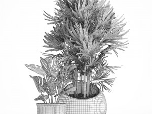 decorative plants in flower pots for the interior 350 3D Model