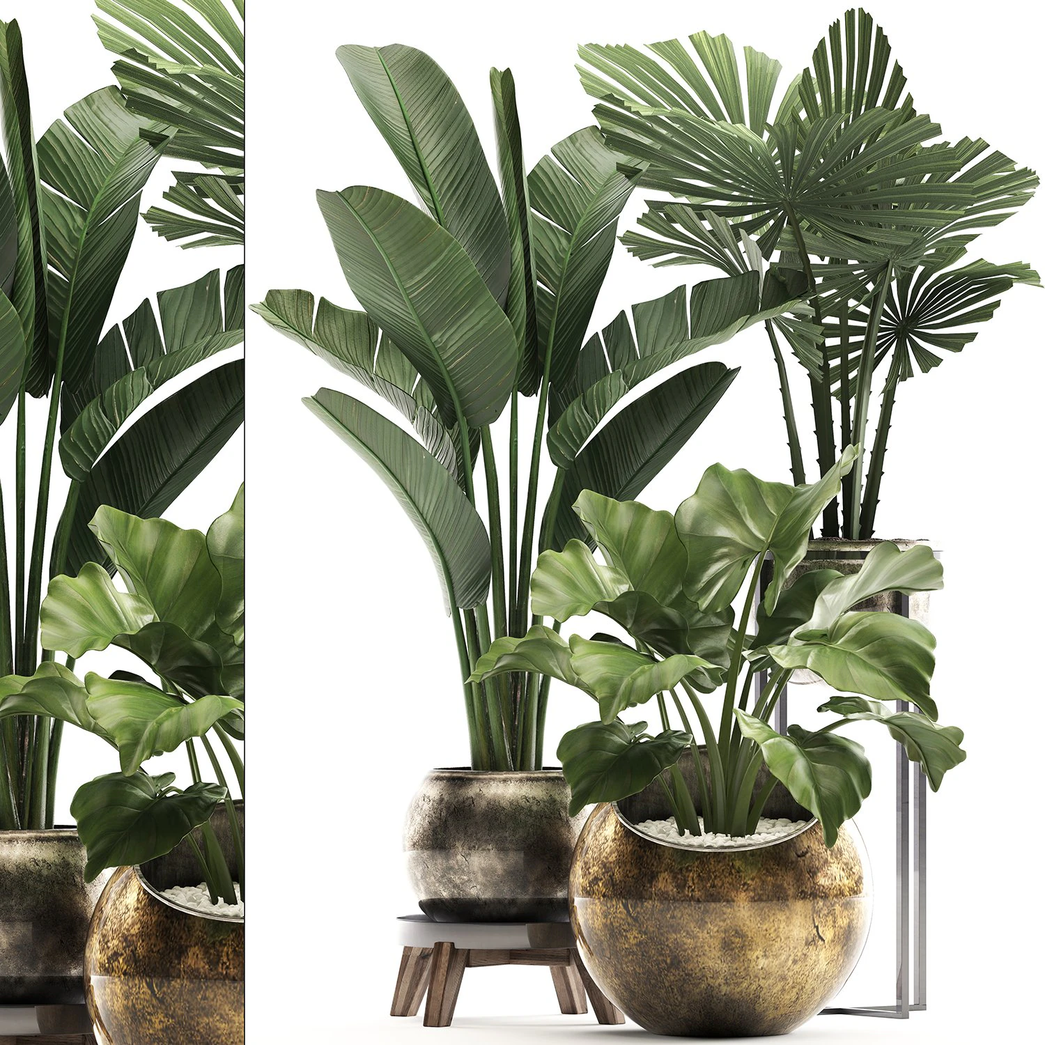 decorative plants in flower pots for the interior 466a 3D Model .c4d .max .obj .3ds .fbx .stl .blend 