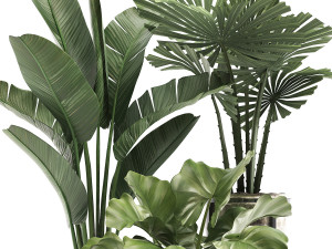decorative plants in flower pots for the interior 466a Model 3D