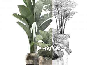 decorative plants in flower pots for the interior 466a Model 3D