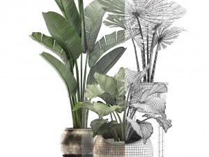 decorative plants in flower pots for the interior 466a 3D Model