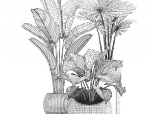 decorative plants in flower pots for the interior 466a Model 3D