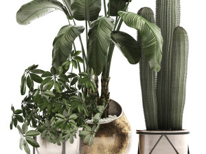 decorative plants in flower pots for the interior 467a Modelo 3D