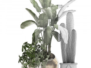 decorative plants in flower pots for the interior 467a Modelo 3D