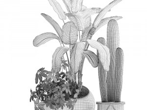 decorative plants in flower pots for the interior 467a Modelo 3D