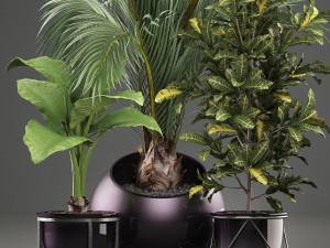 decorative plants in flower pots for the interior 468a 3D Model