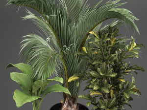 decorative plants in flower pots for the interior 468a 3D Model