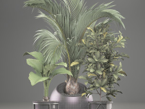 decorative plants in flower pots for the interior 468a 3D Model